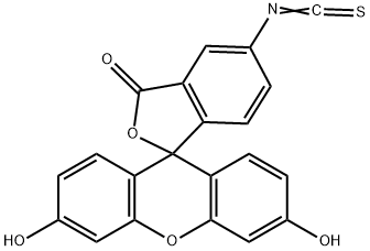Fluorescein isothiocyanate isomer I3326-32-7